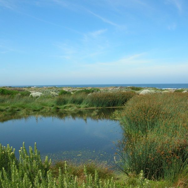 King Island Currie - Treatment Wetland