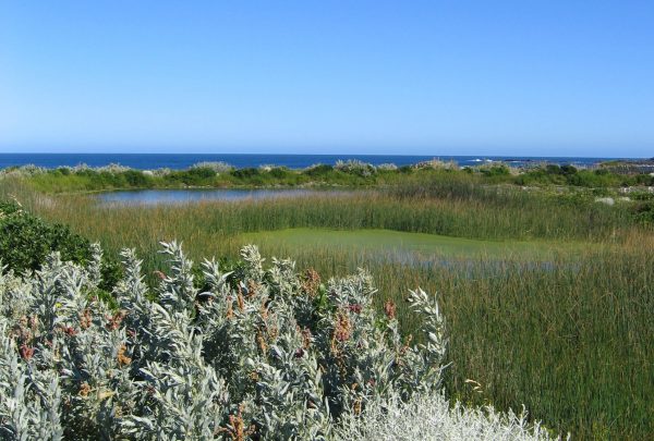 Currie King Island