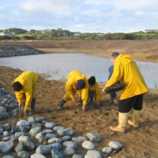 King Island Currie - Local Community involved in construction