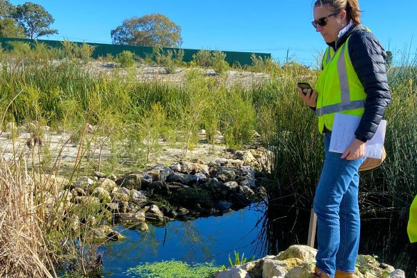 Syrinx (syrinx.net.au) - Green Infrastructure and Sustainability