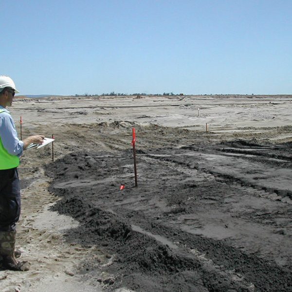 Syrinx Environmental - Projects - BHP Beenup