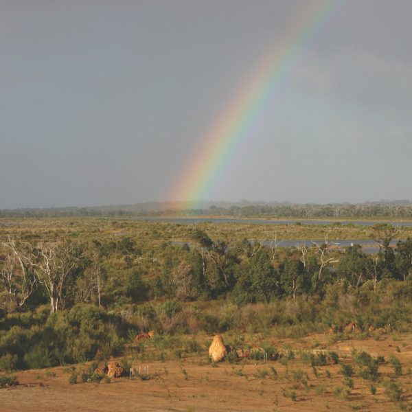 Syrinx Environmental - Projects - BHP Beenup