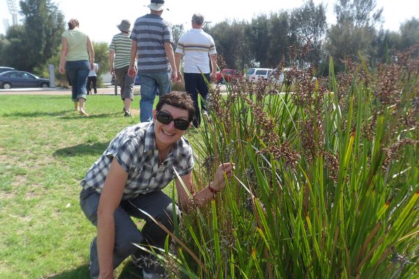 Syrinx (syrinx.net.au) - Green Infrastructure and Sustainability | Kathy Meney