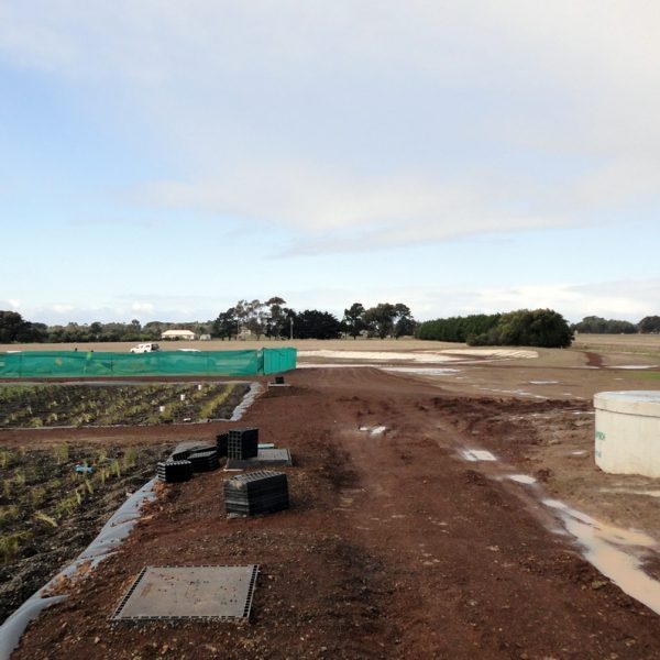 Syrinx Environmental - Projects - Lake Bolac