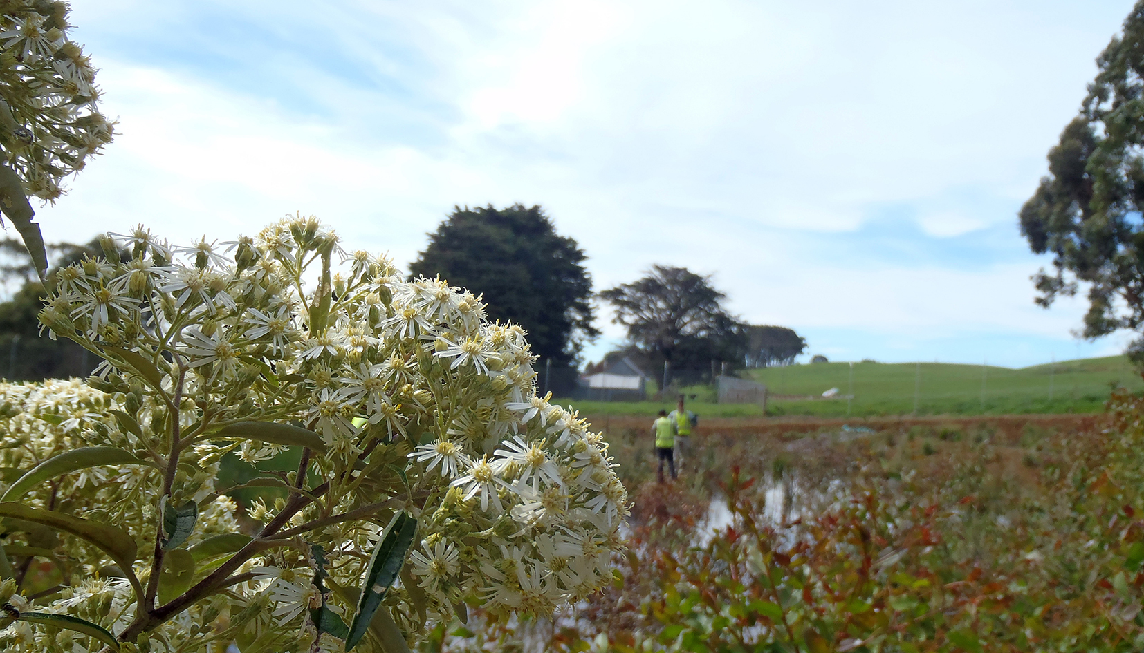 Suzanne Walker Environmental Officer Syrinx Environmental