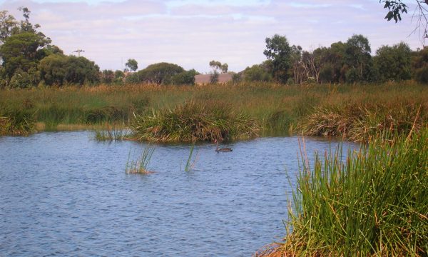 Iluka North Capel