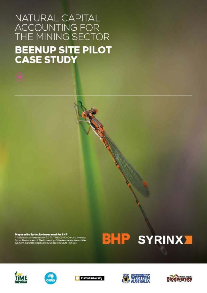 Syrinx -Beenup site pilot case study