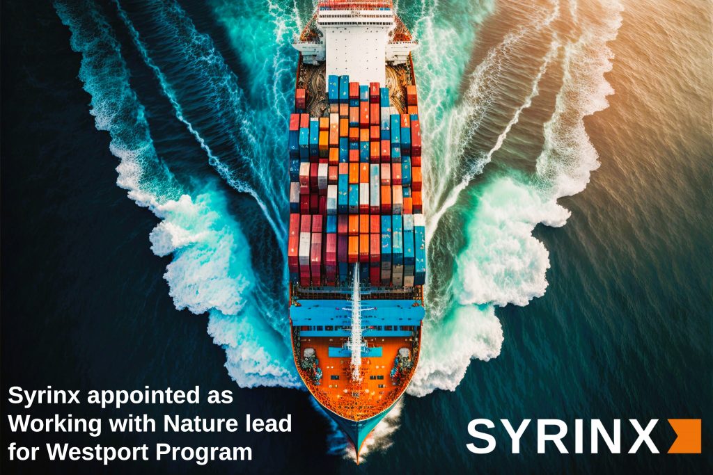 Syrinx as working with nature leads for westport